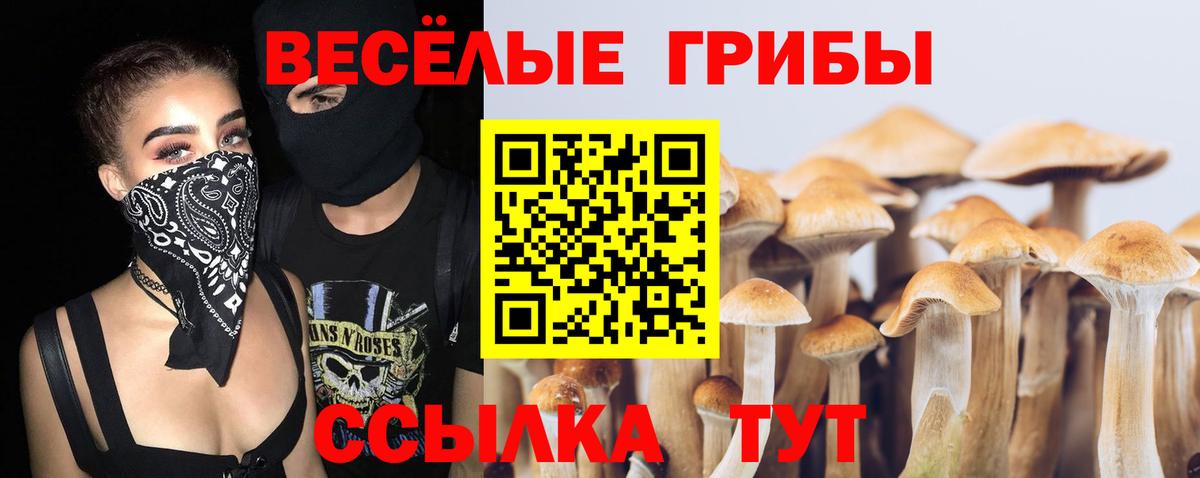 Галлюциногенные грибы ЛСД  Вход с VPN  Псилоцибиновые грибы Psilocybe  Михайловка 